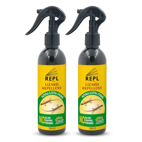 Image of Repl Lizard Repellent Spray(250ml*2) |Powerful Indoor & Outdoor Protection Up to 40 Days |Peppermint Oil Formula |Keeps Lizards Away Naturally |Safe for Kids, Pets & Family |Non-Toxic & Easy to Use (PACK OF 2)