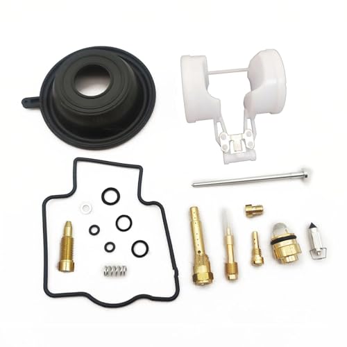 Kit réparation carburateur ZZR1100 contre les trous à l'accélération