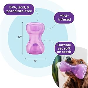 Outward hound by planet dog double snoop interactive treat stuffer durable dog toy dog treat toy purple  urban country home decor