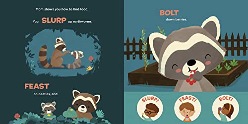 You Are a Raccoon! (Meet Your World) - Image 4