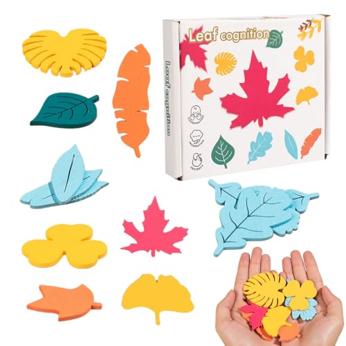 Shape Toys | Clasificador De Formas De Madera para Bebés | Juguete Educativo con Hojas para Desarrollo De Lógica, Motricidad Fina Y Reconocimiento Natural | Aprendizaje Preescolar