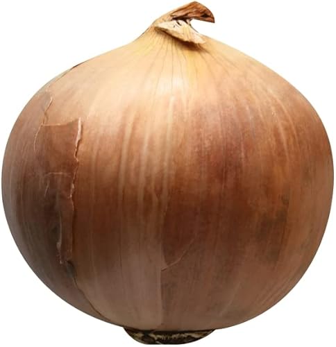Onion