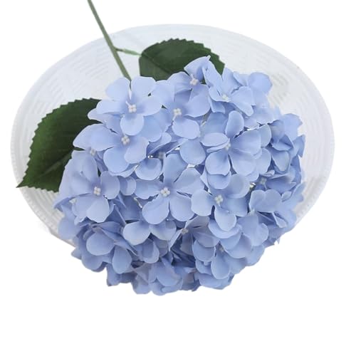 lHAWTC̉ԁBUVϐ̂tFCNAWTC̑BȎpBAȃVNt[AWgBԕrA|[`AAe[ũZ^[s[XɁB(Color5,10)