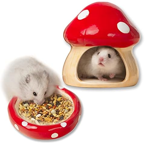 Ceramic Mushroom Guinea Pig House Hamster Hide Hamster Bed Includes Hamster Food Bowl Guinea Pig Hideout for Hamster Guinea Pig Chinchilla Hedgehog Rat Small Animals(Red Mushroom Set) Cover