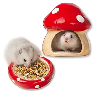 Mushroom Shape Ceramic Cute Shape to Prevent Upset Hamster House Food Feeding Bowl Gerbils Chinchilla Ferret Hedgehog Small Animals (Red Mushroom Set)