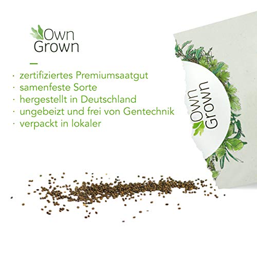 Foto von Bohnenkraut Samen: Premium Bohnenkraut Saatgut für die Anzucht von ca. 600 Kräuter Pflanzen – Kräutersamen für Garten und Balkon – Küchenkräuter-Samen – Kräuter, Kräutersamen – OwnGrown