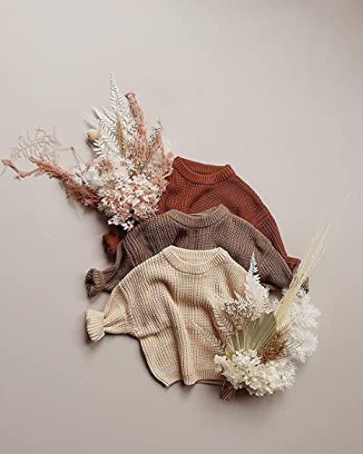 Infant Toddler Baby Girl Boy Knit Sweater Pullover Sweatshirt Warm Long Sleeve Shirt Tops Knitted Fall Winter Clothes (Brown, 2-3T) #TOP6