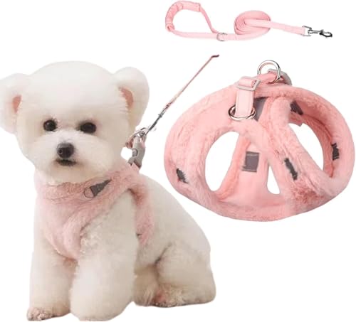 SUNCN  n[lX [h Zbg Ȃ ~ t ȒPE  y U o h~  xXg Lpn[lX   ^ q L \tg