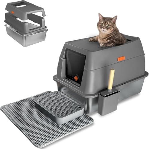 Dlwk XeXX`[̔LgCt[htnCTChLgCɔL̃gCgCXN[vƃ}bg