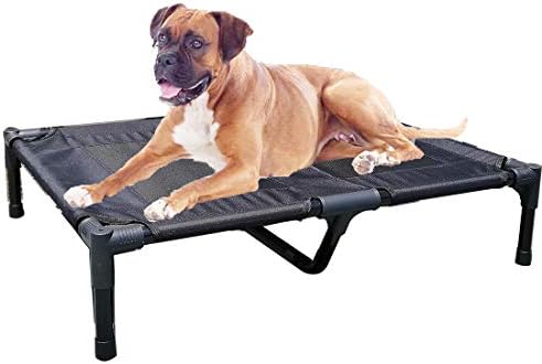 dog beds trampoline style