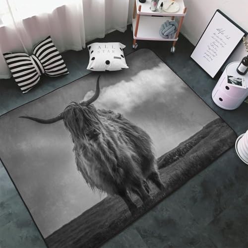 ������ ���� (2) �J�[�y�b�g �����` ���O �ėp �h�_�j �R�� �h�L �ӂ���Ǝ�G�� ������� ���g�[�Ή� �􂦂� ����~�ߕt �l�C �v���[���g 100 × 150 cm