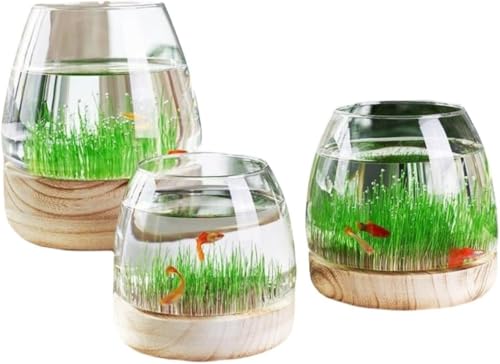 ガラス 金魚鉢 メダカ」の人気商品一覧 | 安い商品を通販サイトから