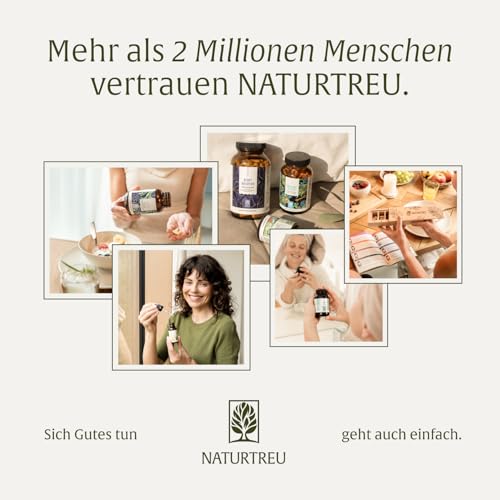 NATURTREU® Blutdruck - OPC Traubenkernextrakt hochdosiert 900mg Extrakt mit Q10, Kalium & schwarzem Knoblauch - Französische Trauben vegan - 90 Traubenkernextrakt OPC Kapseln hochdosiert.