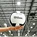 WILSON Pro Tour Indoor Volleyball - Teal/White, Official Size