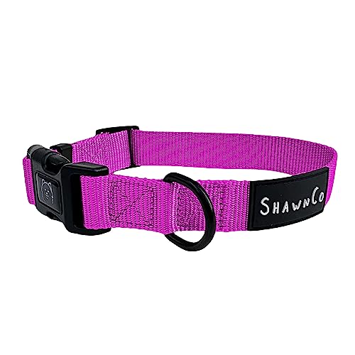 ShawnCo Dream Walk Dog Collar- Premium, Adjustable and