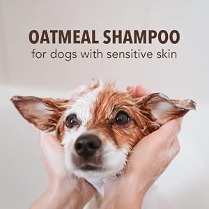Sergeant's Sergeant’s Fur-So-Fresh Oatmeal Dog Grooming Shampoo for Sensitive Skin, Milk and Honey Scent, Dog Bath Product, 18oz Sergeant’s Sergeant’s Fur-So-Fresh Oatmeal Dog Grooming Shampoo for Sensitive Skin, Milk and Honey Scent, Dog Bath Product, 18oz
