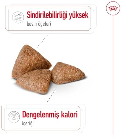 Royal Canin Mini Indoor Yetişkin Köpek Maması, 1.5 kg - Görsel 5