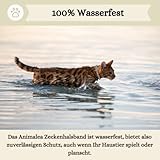 Animalea® Zeckenhalsband für Katzen (2 Stück) - Länge 38cm - wirksamer Schutz gegen Zecken und Flöhe - wasserfest und Leuchtend bis zu 8 Monaten Zeckenschutz mit 100% natürlichen Inhaltsstoffen