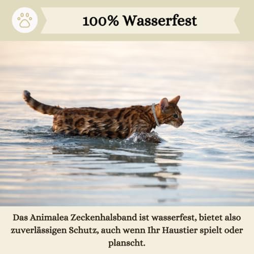 Animalea® Zeckenhalsband für Katzen (2 Stück) - Länge 38cm - wirksamer Schutz gegen Zecken und Flöhe - wasserfest und Leuchtend bis zu 8 Monaten Zeckenschutz mit 100% natürlichen Inhaltsstoffen