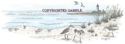 Sandpipers - Drawing by Cindy Farmer