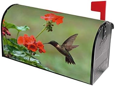 Mount Hour Hummingbirds Birds Spring Summer Red Flowers Blossom Mailbox Covers Magnetic Floral Post Box Cover Wraps Standard Size 21x18 Inches for Garden Yard Decor