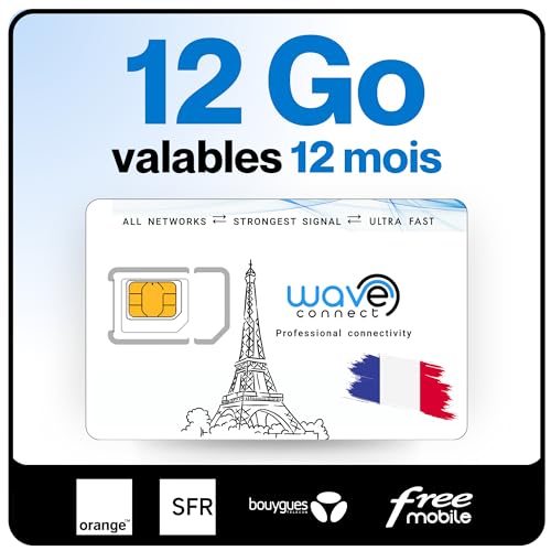 Wave Connect SIM Données France 4 Réseaux, 12 Go valables 12 Mois, Bouygues, Free, Orange, SFR, 4G, 5G, Prépayée, Active dès La Première Utilisation, UE, IoT,...