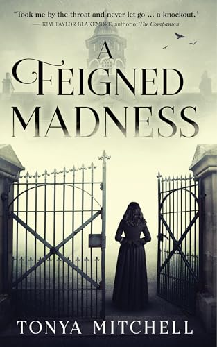 A Feigned Madness view 2