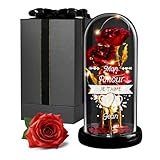 Maverton Rose Eternelle sous Cloche en Verre avec Personnalisation   Fleur Eternelle Cadeau Maman   Rose Rouge Artificielle 21x11 avec Lumière LED   Idee Cadeau Femme Original   St Valentin