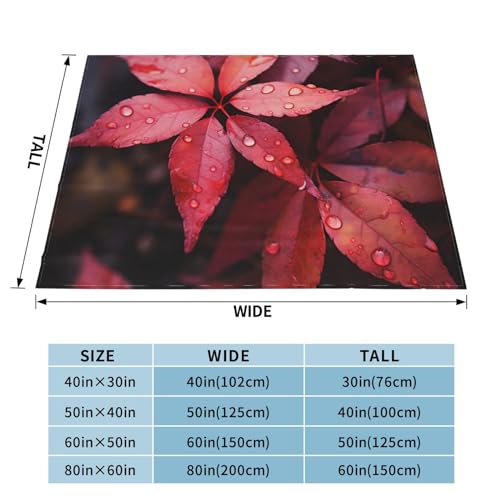 Couverture micro polaire Red Leaf durable et confortable 152x203cm - 3