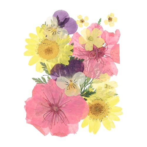 Flores prensadas secas multicolor para manualidades miniatura 1