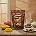 Mango Slices Dipped in Dark Chocolate Dringo Yeses – Premium Dried Mango Snack, Non-GMO, Vegan, Kosher, All-Natural, No Additives, 10.58 oz (300g) Resealable Bag (1 Pack)