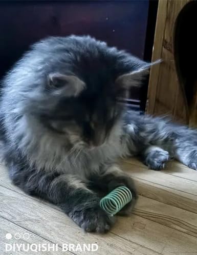 DIYUQISHI Pacote de 19 peças para gatos, 5 bolas de sino, 10 bolas de pelúcia e 4 molas para gatos e