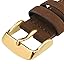 Dark Brown (Gold Buckle)