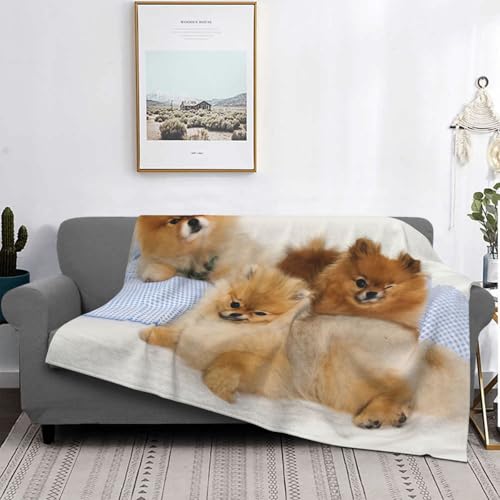 Couverture de lit Poméranie pour cocooning sur canapé - 5