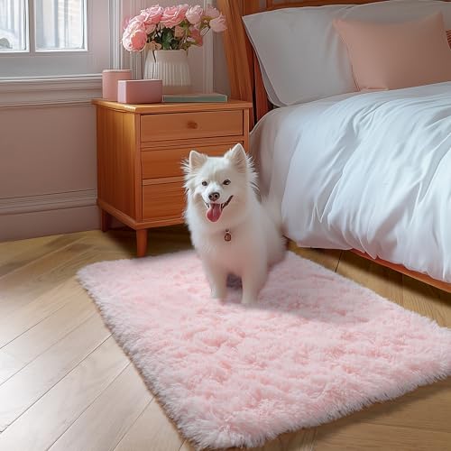 Amdrebio Pink 2x3 Small Area Rugs for Girls Bedroom, Mini Fluffy Shaggy Throw Rug for Kids Room Decor, Cute Shag Fuzzy Carpet for Living Room Door Entryway Baby Nursery Preppy Dorm Playroom, Washable