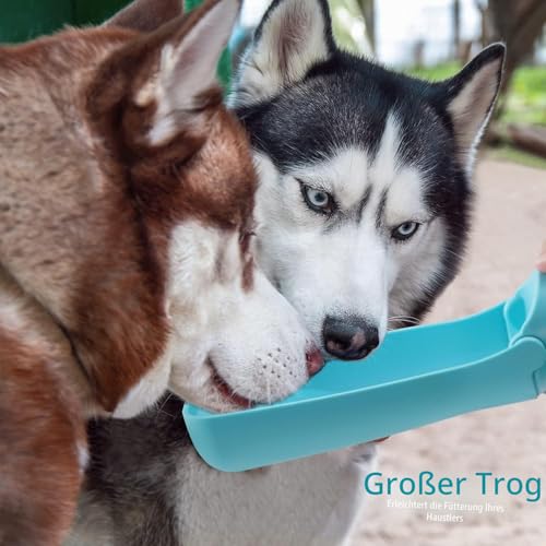Trinkflasche Hunde für Unterwegs zum Gehen 550ml oder 350ml Hundetrinkflasche für Unterwegs für Welpen Kleine Mittel Große Trinkflasche Hund Hunde Wasserflaschen to Go(550ml Blau)