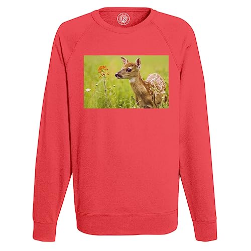 Sweat Homme Faon : cadeau idéal pour photographe nature