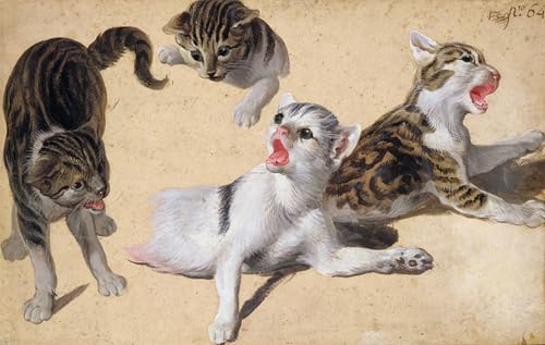 Affiche Artistique Quatre études de chatons Desportes toile salon poster
