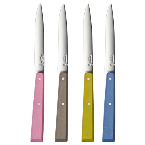 Opinel 254226 Caja de 4 Cuchillos de Mesa N°125 Estilo Rustico Mango en Carpe Coloreado Azul/Tilo/Gris/Rosa 001533, Acero Inoxidable