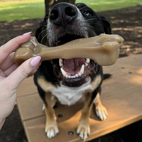 Image of Nylabone Strong Chew Gourmet Style Dog Chew Toys, Large, 2 Count
