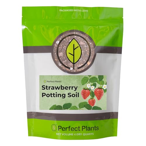 Perfect Plants Organic Strawberry Potting Mix | Organic Premium Mix | Use with Strawberry's, Pineberry's, or Other Fruit Plants (4qt)