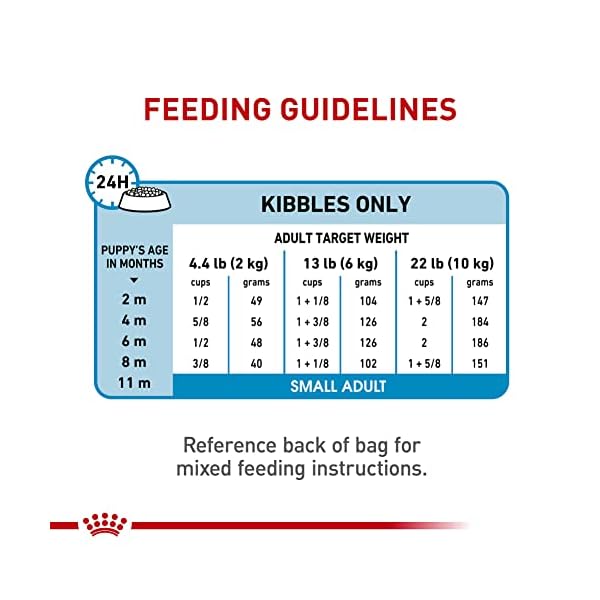 ROYAL CANIN Size Health Nutrition Mini Puppy Dry Dog Food, 2,5-Pound by – Bild 9