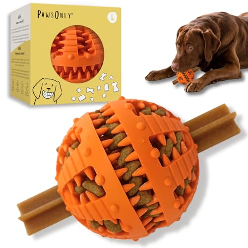 PawsOnly | Hundespielzeug | Leckerli Ball für Hunde | Intelligenzspielzeug | Snackball Hund | Hundebeschäftigung | Futterball Naturkautschuk | Welpenspielzeug | Zahnputzball (Groß 8 cm, Orange)
