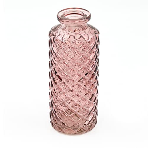Blümelhuber Jarrón pequeño de cristal decorativo para boda, jarrón pequeño, moderno, decoración de primavera, plantas decorativas flores secas (rosa) Cover