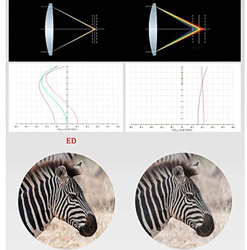 Monokulares Teleskop, Professionelles Fernglas für Erwachsene, 43MM HD FMC Tragbares Hohlgriff-Design Fernglas… – Bild 5