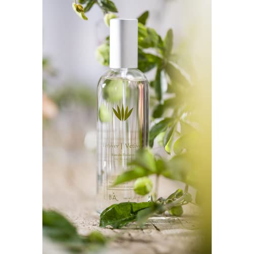 Provence Sante Eau De Toilette Spray - Luxury Fragrance Gift Perfume Edt Scented Long Lasting Fragrant Spray Bottle Made In France 3.5 Oz (Vetiver) #TOP1