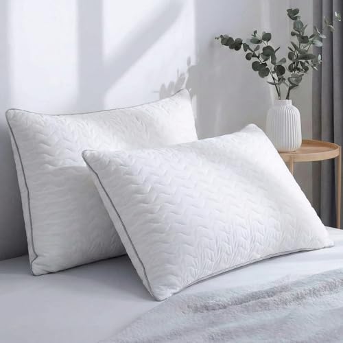 Image of AYKA Ultimate Quilted Bed Pillow Set of 2 | 100% Virgin Microfiber Filling for Neck & Shoulder Support | 17x27 inch Breathable Hotel Quality Pillows | Never Flat, Anti-Bacterial | Supersoft