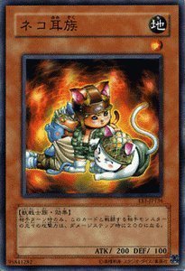 まねきねこ　遊戯王カード 41DNvs0KYbL._AC_UF350,