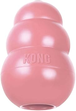 KONG Puppy KONG Dog Toy, Medium, Assorted Colors