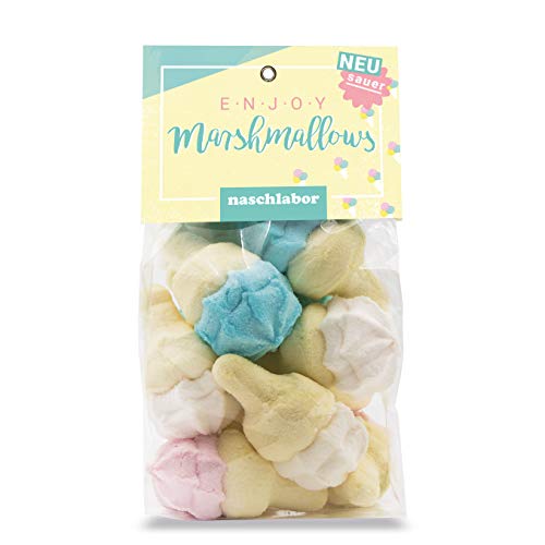 Lustige Marshmallow Eishörnchen von Naschlabor - Die passende Süßigkeit für deinen Sommer Cover